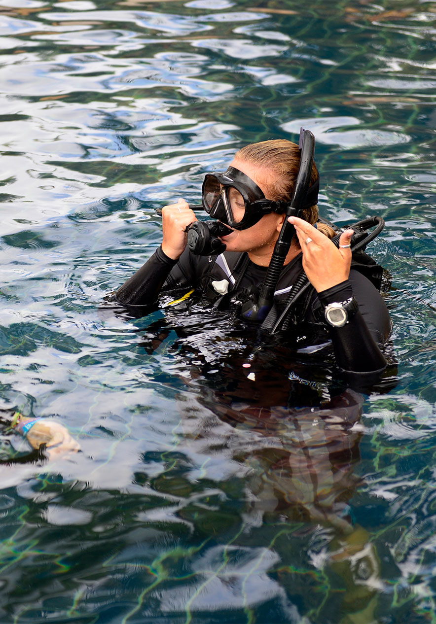 Disfruta de uno de los mejores destinos de buceo en África en la Isla de Bazaruto, con corales y peces tropicales
