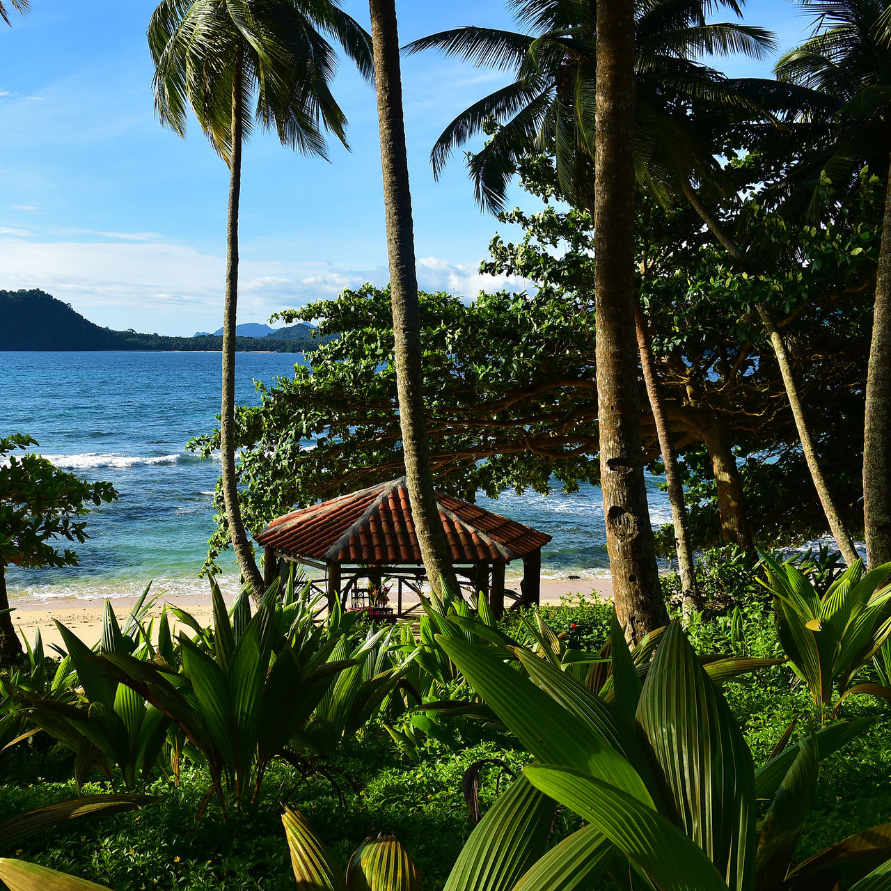 Vista del Pestana Equador Ilheu das Rolas hacia la playa, con palmeras, agua cristalina y montañas al fondo
