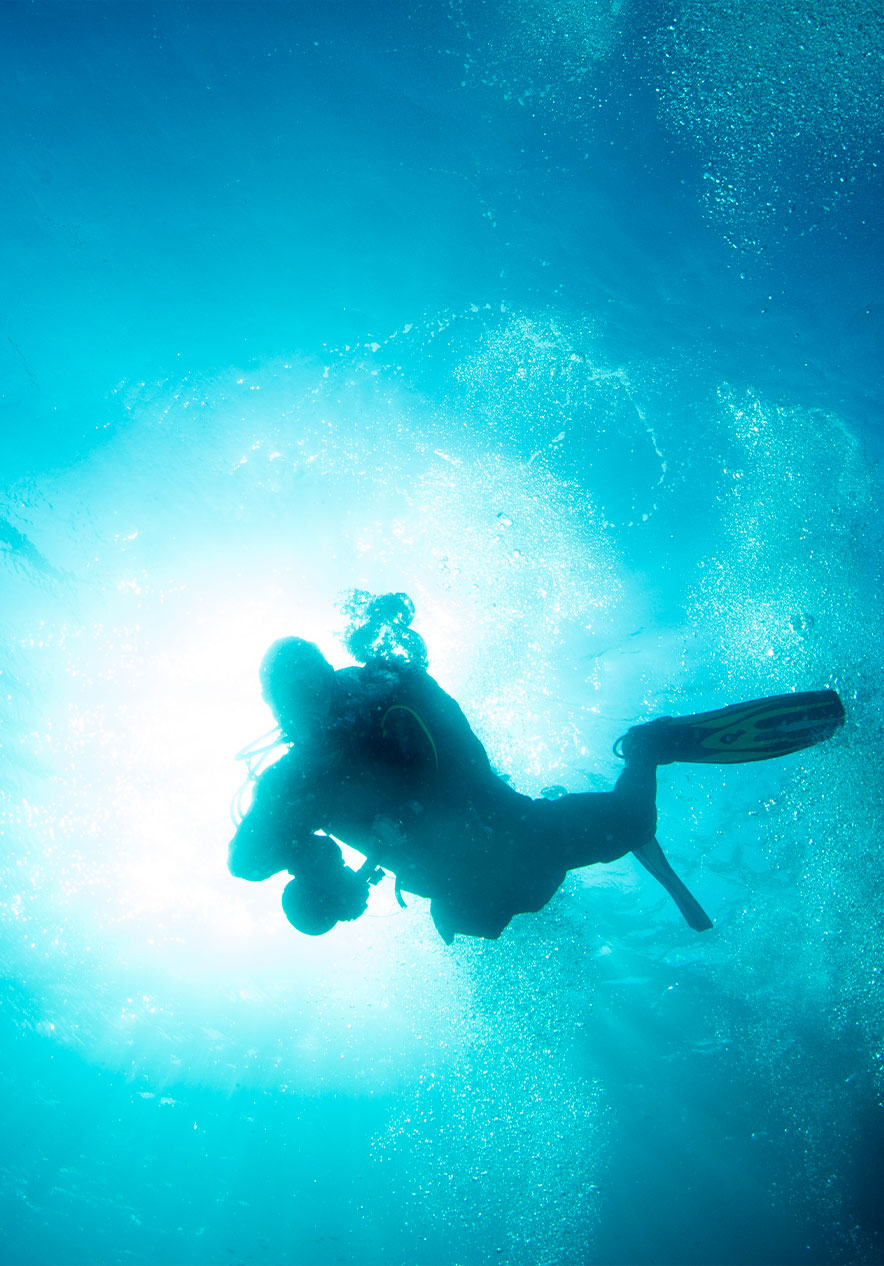 En el Parque Ocean Revival puedes bucear en cuatro barcos y explorarlos