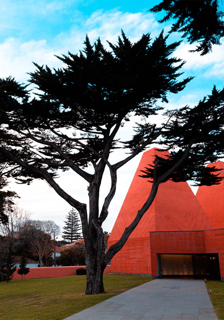 Casa de Historias, un espacio dedicado a Paula Rego donde la arquitectura moderna se fusiona con el arte