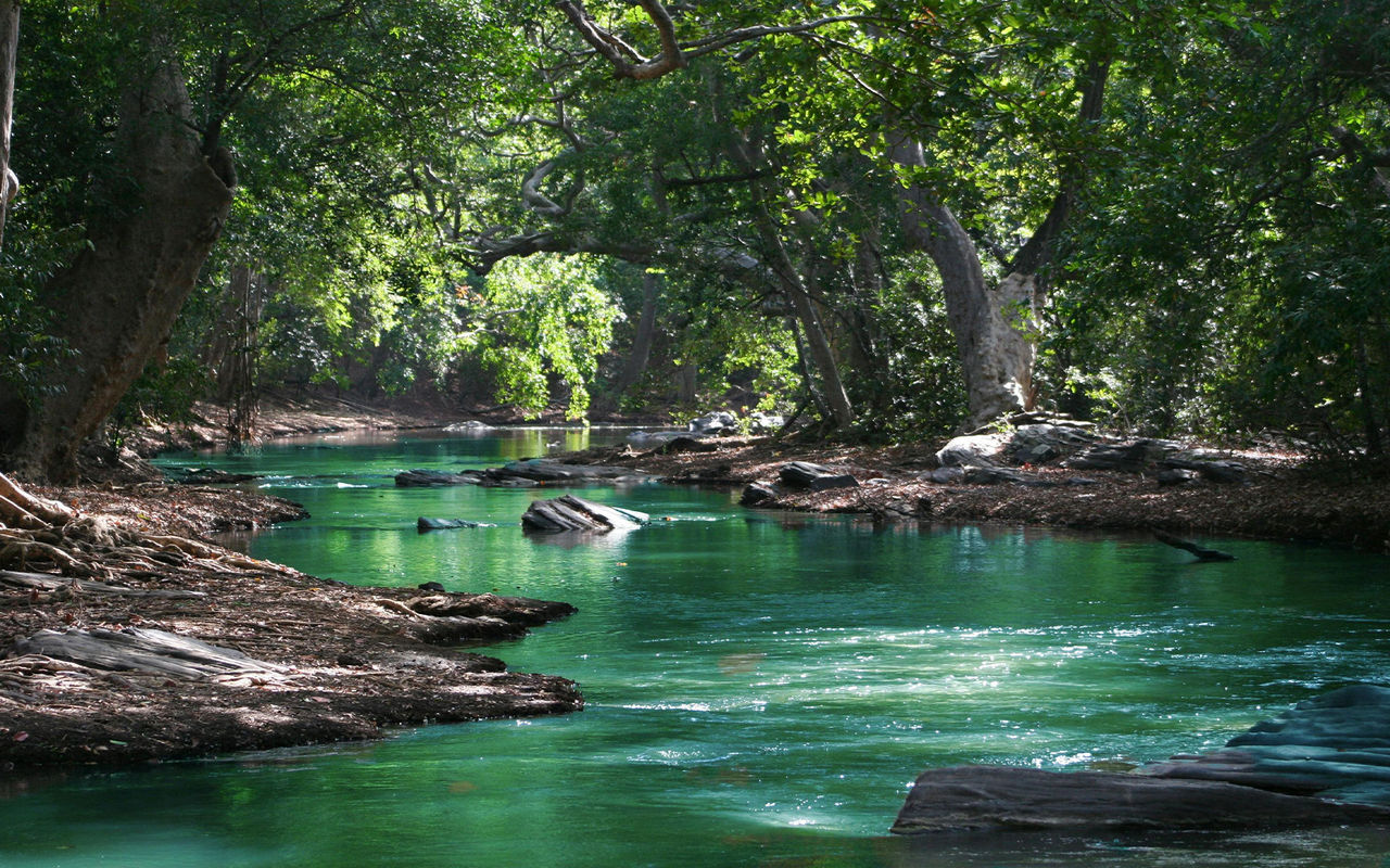 Descubra Hotéis na Natureza no Pestana Hotel Group, rodeados de natureza para explorar nas suas férias
