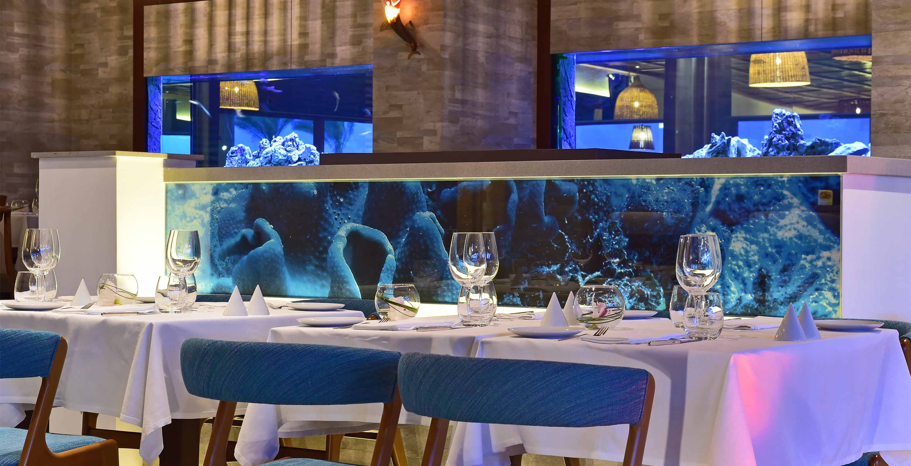 The Sul restaurant features aquariums and cushioned chairs in different areas