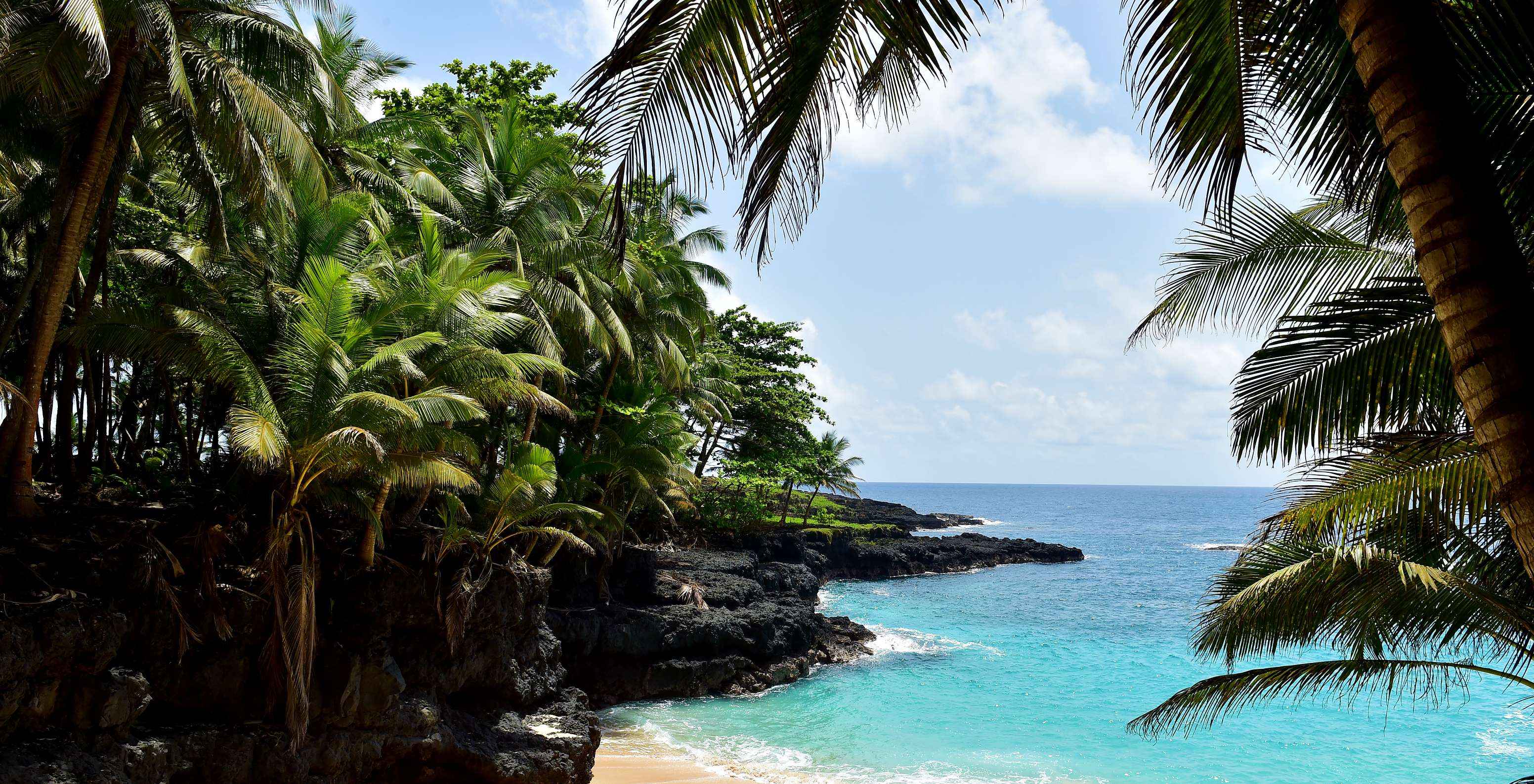 Ilhéu das Rolas beach with dense tropical vegetation, golden sand, and crystal-clear water