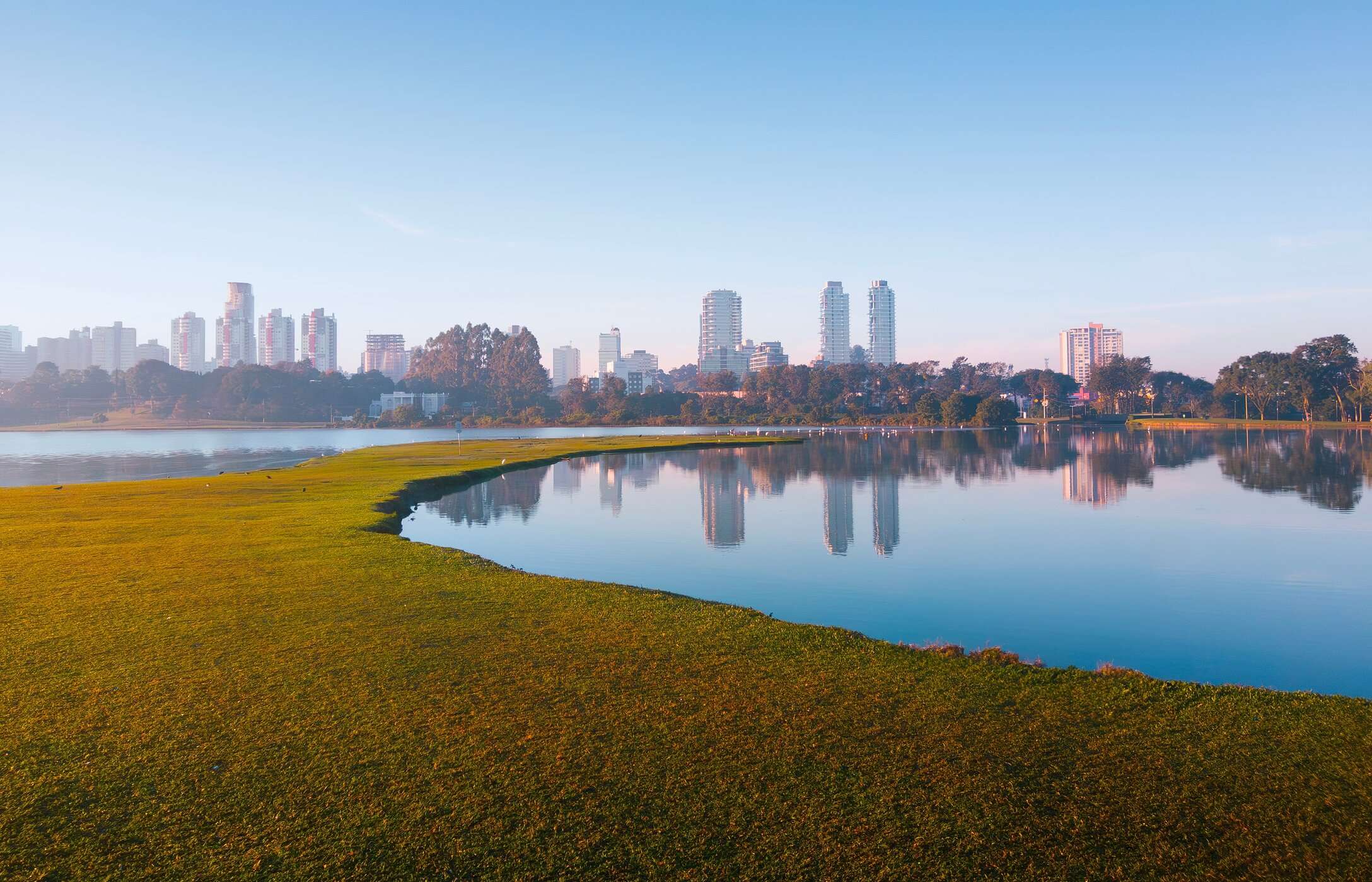 Het Barigui-park in Curitiba is een groene oase, perfect voor wandelen, picknicken en het spotten van capibara's langs het meer
