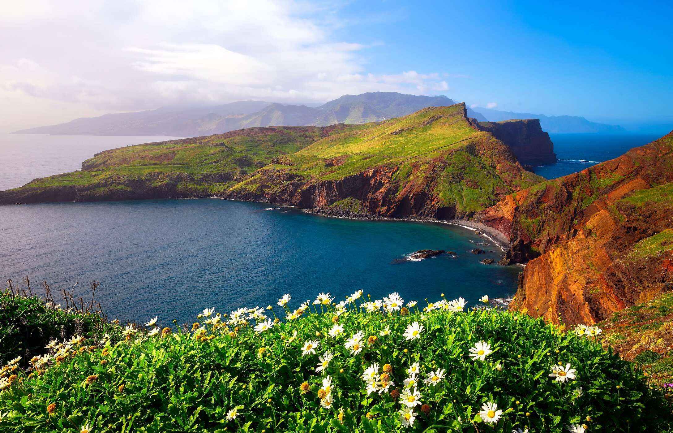 Uitzicht op de iconische Ponta de São Lourenço op het eiland Madeira, omgeven door de oceaan en met bloemen op de voorgrond.