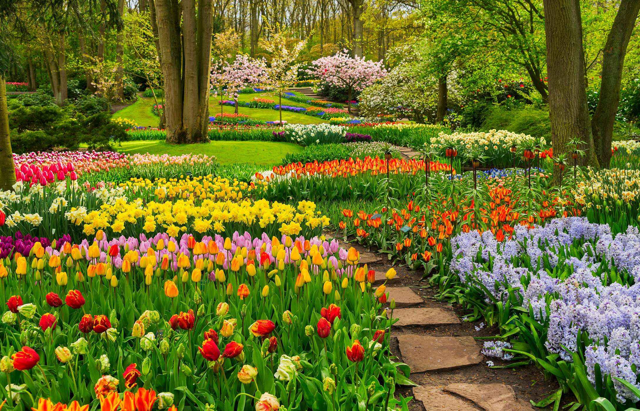Keukenhof in Lisse, Nederland, met tulpen in verschillende kleuren, een stenen pad en vegetatie.