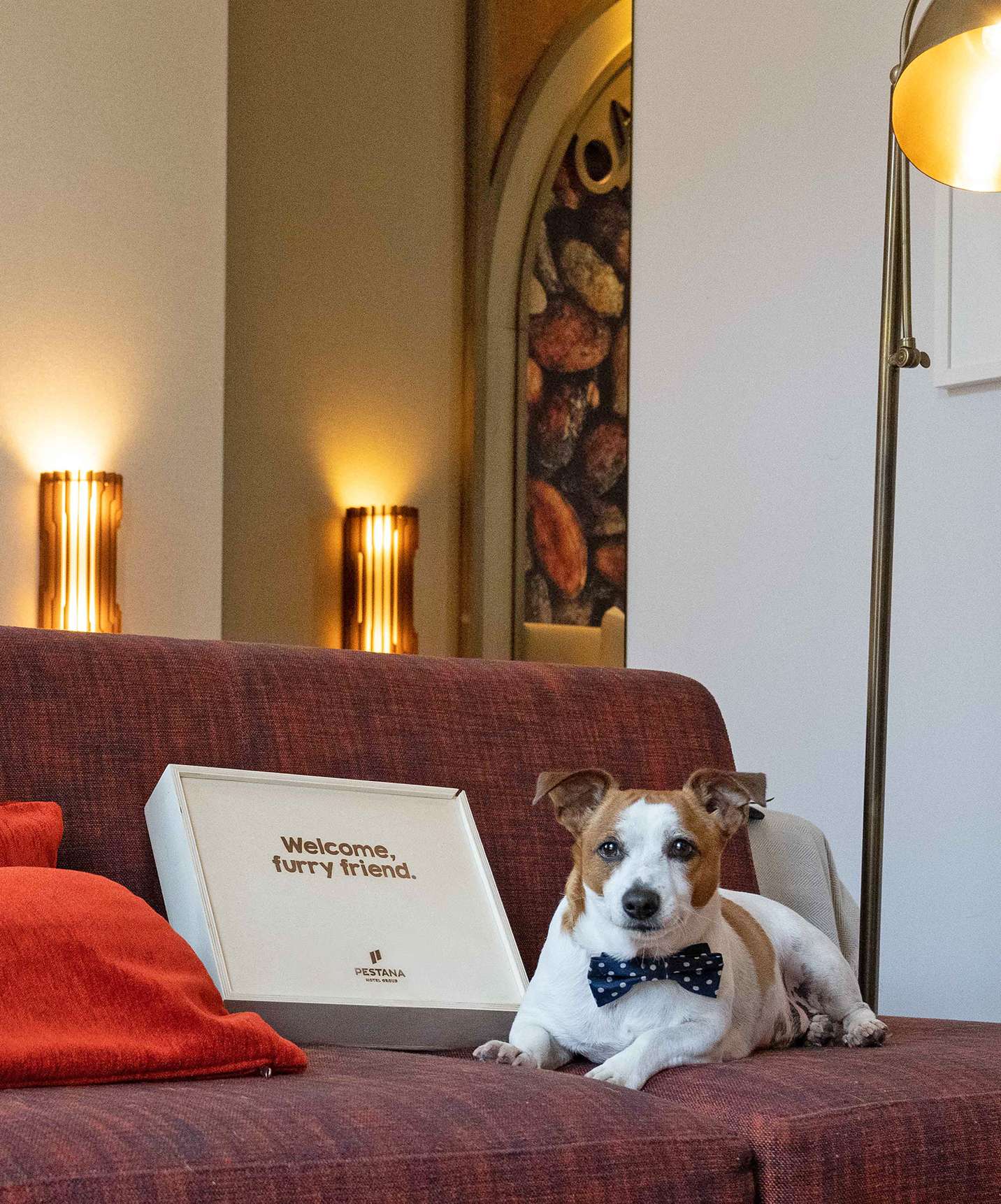 O Pestana Cidadela Cascais é um hotel pet-friendly, onde os cães podem relaxar com os donos no seu quarto