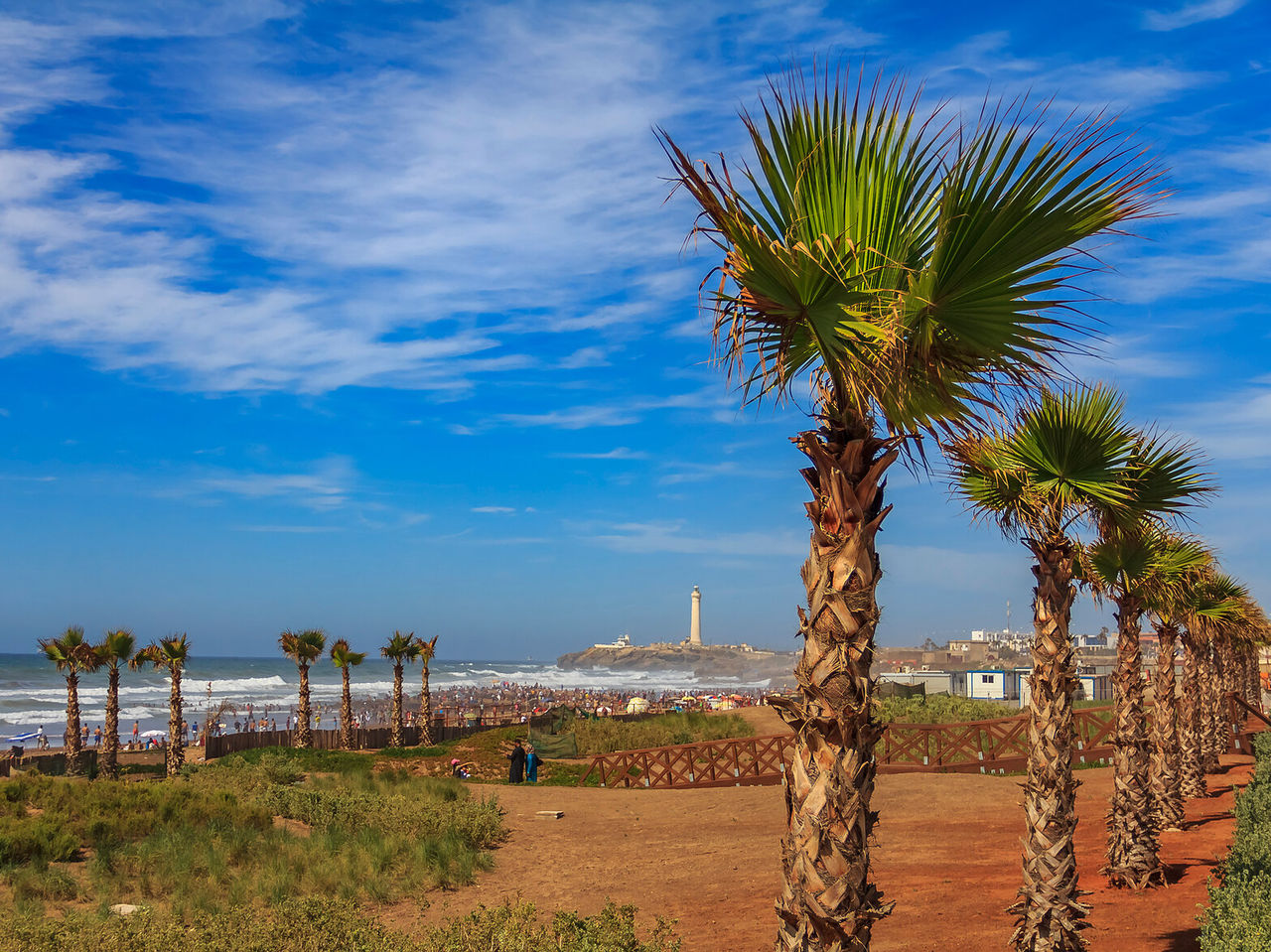 Uitzicht op het strand van Casablanca, met verschillende palmbomen en een deel van de stad op de achtergrond