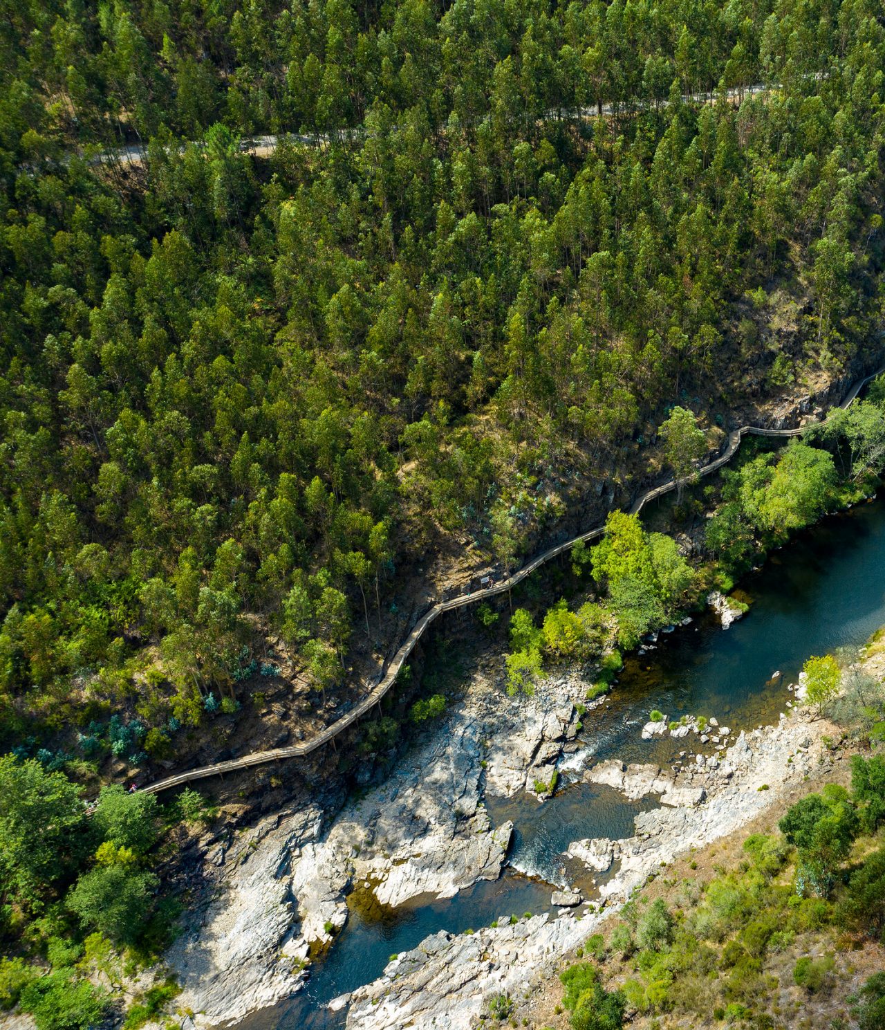Luchtfoto van een rivier die door een weelderig bos slingert