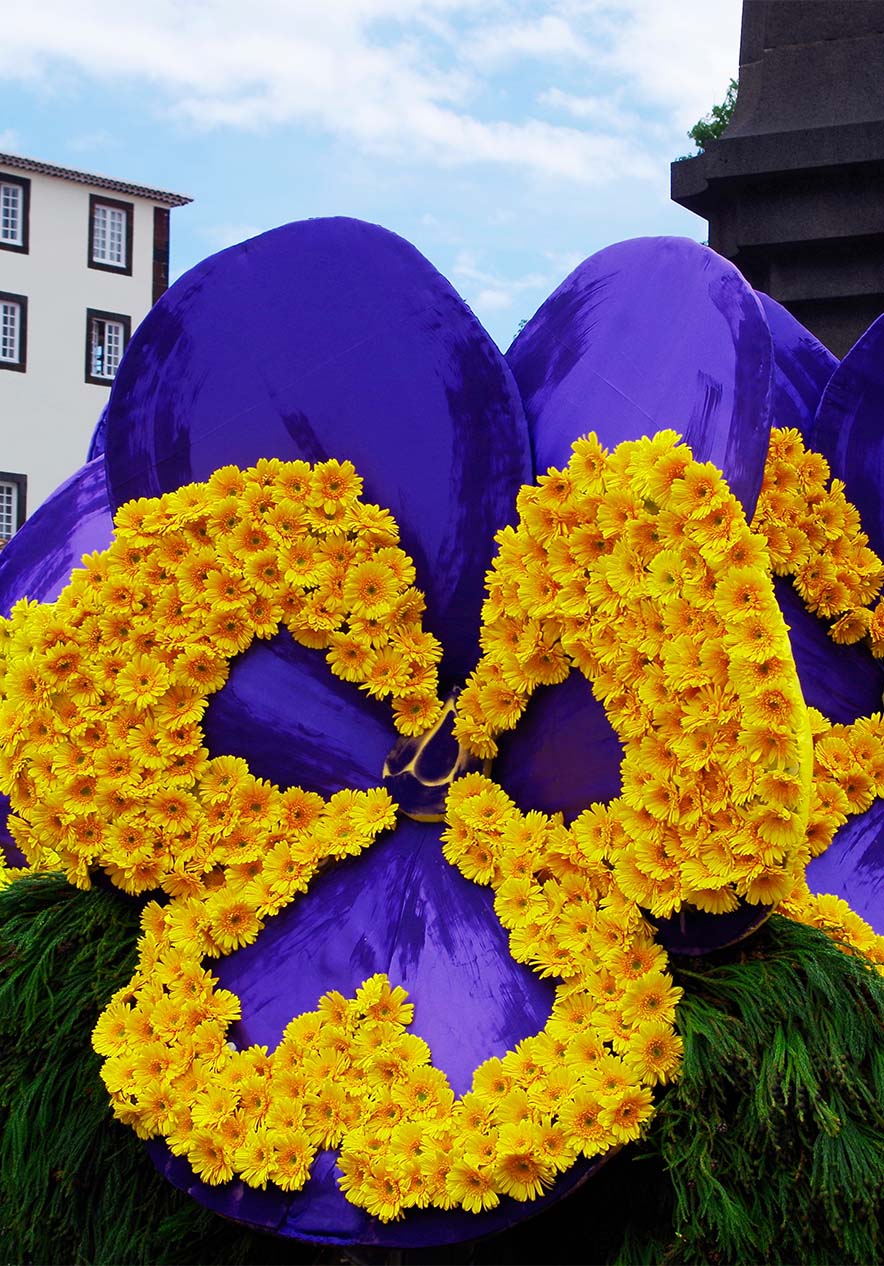 Verblijf in Pestana Casino Studios en ontdek de kleurrijke bloemen van de Festa da Flor