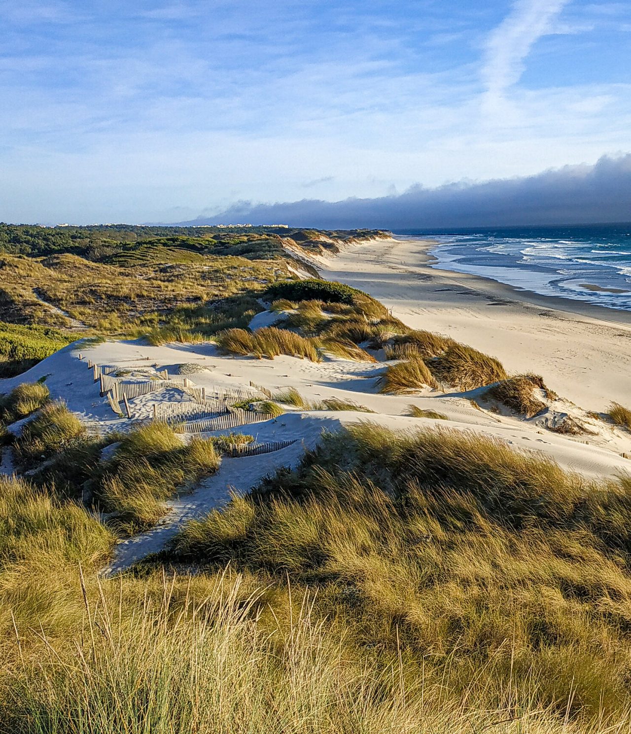 Uitgestrekt wit zandstrand, met door vegetatie bedekte duinen en een oneindige maritieme horizon