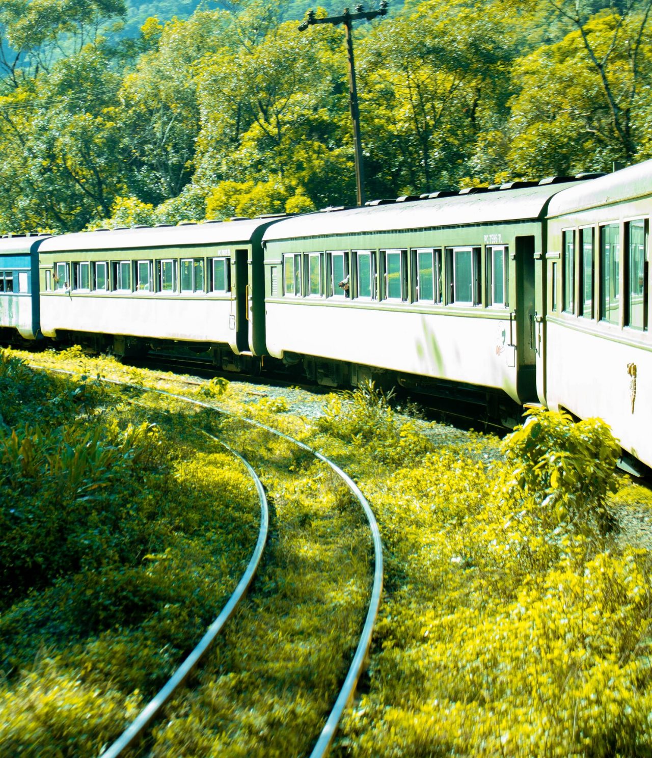Reizen met de trein in Curitiba biedt adembenemende panoramische uitzichten, vooral op de beroemde Serra Verde Express