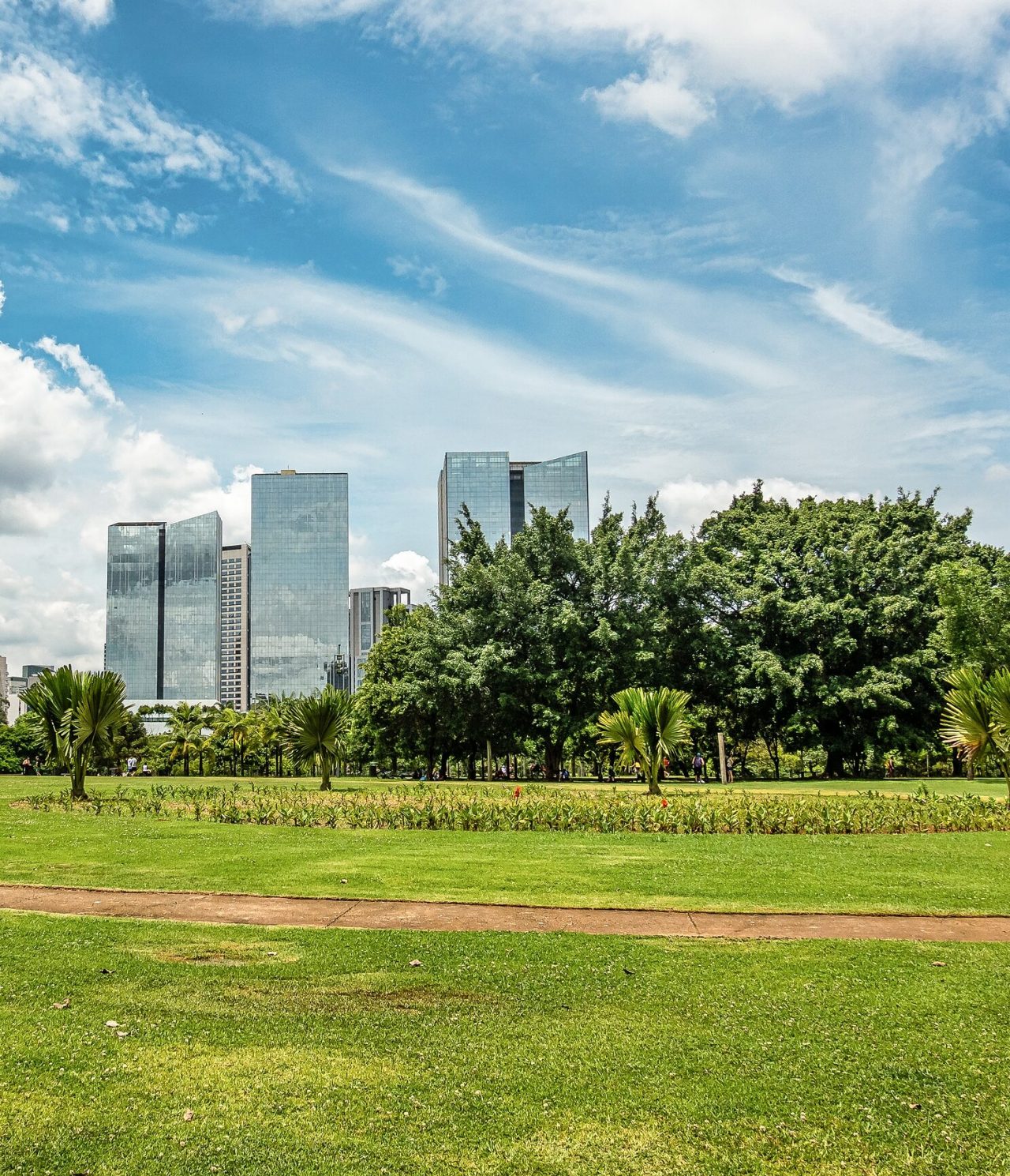 Uitzicht op een tuin in São Paulo, met gras en verschillende soorten bomen, met spiegelende hoge gebouwen op de achtergrond