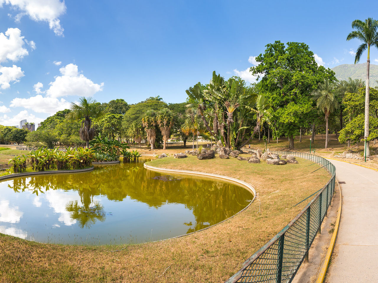 Gebogen kunstmatig meer in een park in Caracas, omgeven door bomen en een blauwe lucht