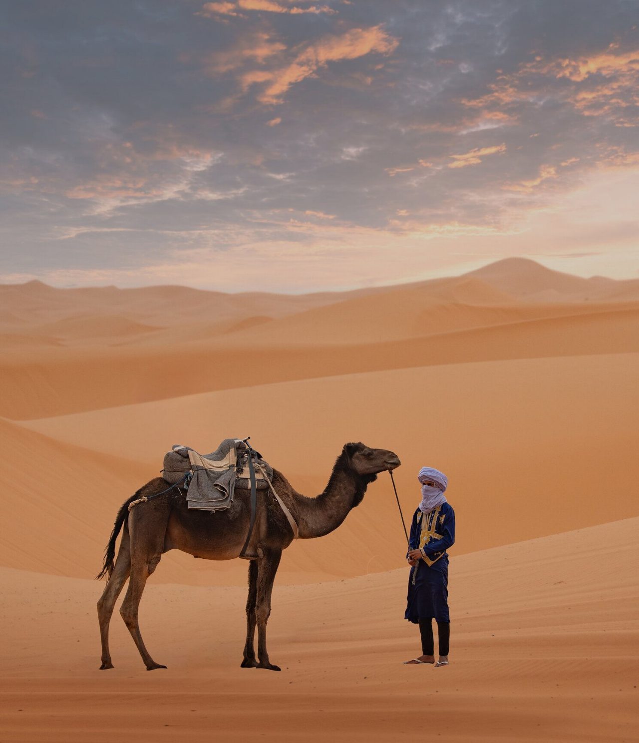  Camel and man accompanying it, in the middle of a vast desert near Marrakech, with several dunes on the horizon