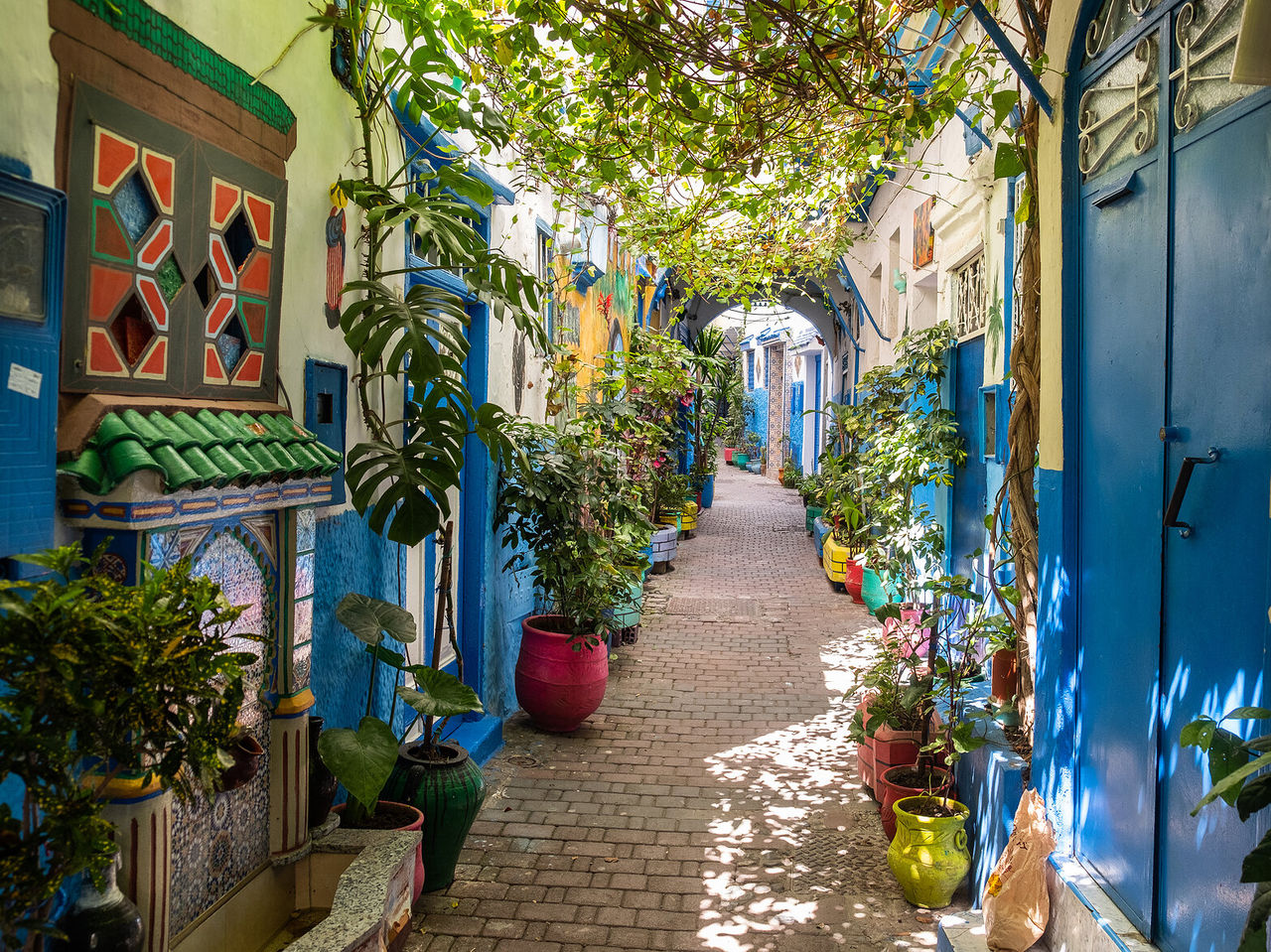 Deambule pelas ruas estreitas de Tânger, tradicionalmente coloridas e com diversas plantas