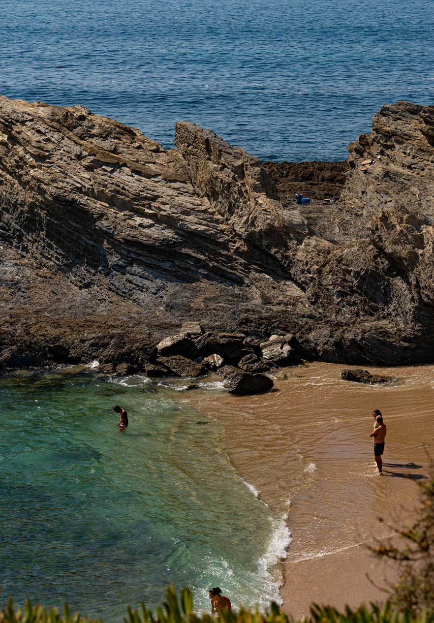 colocar alt text aqui