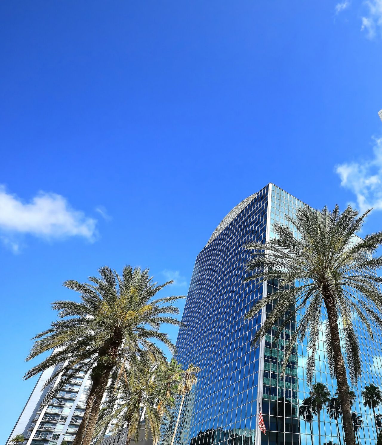 Modern architecture of Orlando, with modern skyscrapers and tropical palm trees