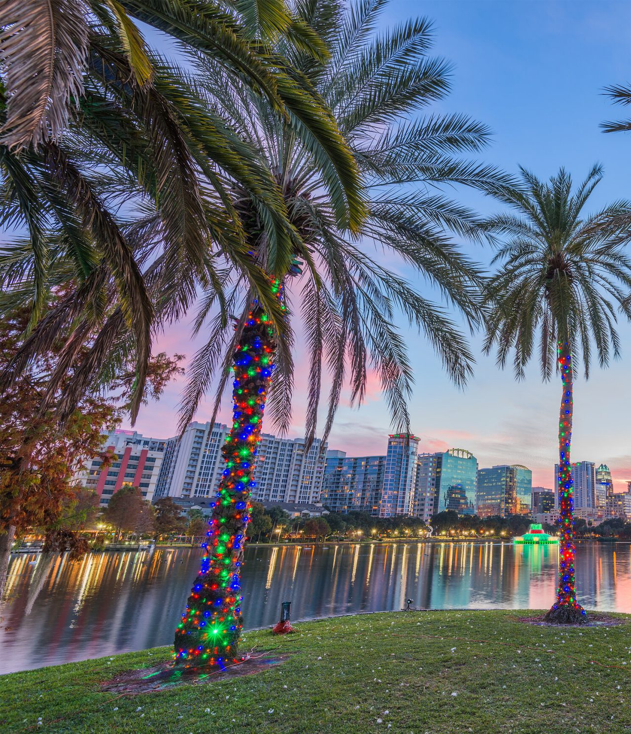 Lake with palm trees wrapped in bright lights, creating a magical and festive cityscape