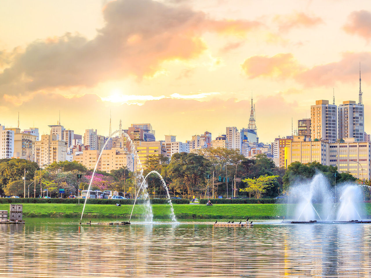 View of Ibirapuera Park, with the modern buildings of São Paulo in the background