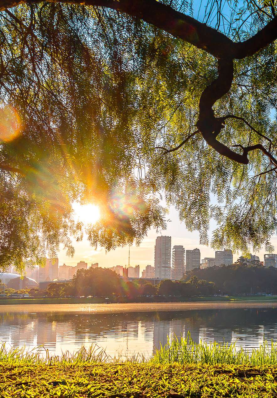 Ibirapuera Park in São Paulo a green refuge in the city with a lake reflecting the blue sky